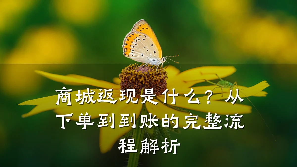 商城返现是什么？从下单到到账的完整流程解析