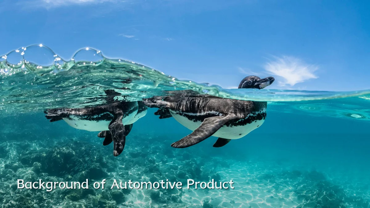 Background of Automotive Product
