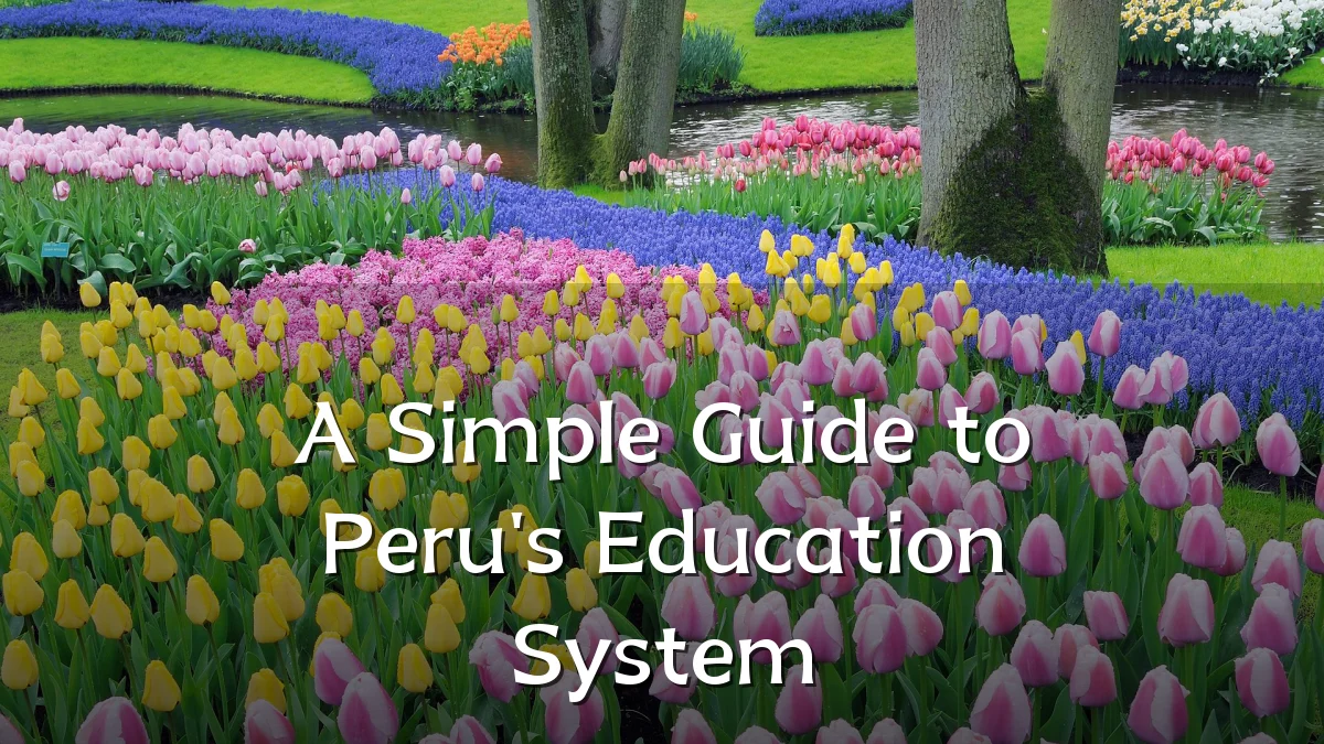 A Simple Guide to Peru's Education System