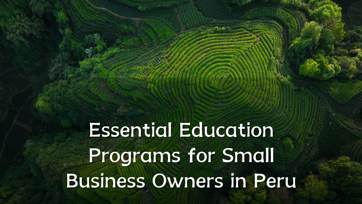 Essential Education Programs for Small Business Owners in Peru