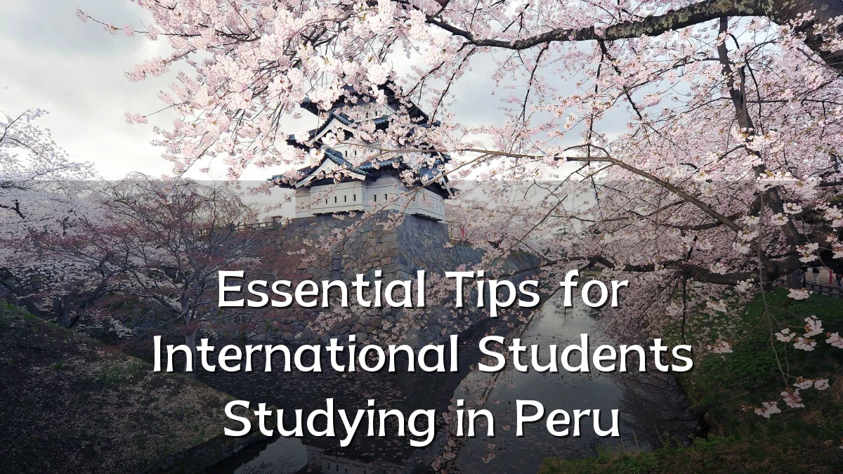 Essential Tips for International Students Studying in Peru