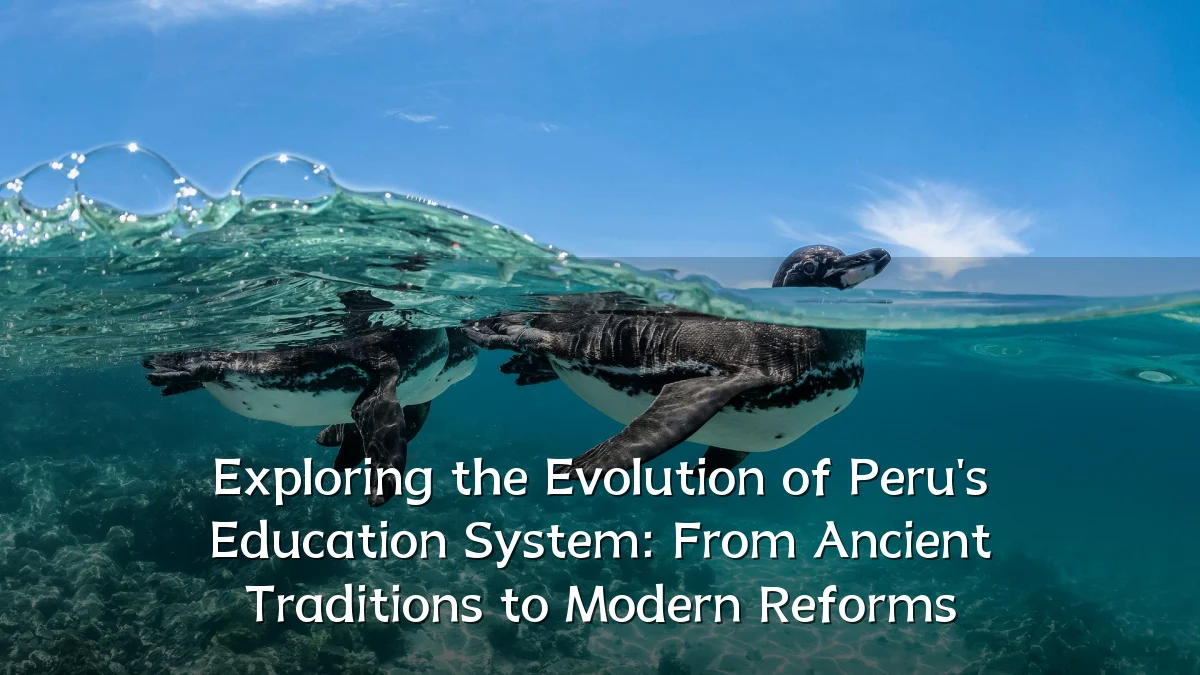 Exploring the Evolution of Peru's Education System: From Ancient Traditions to Modern Reforms