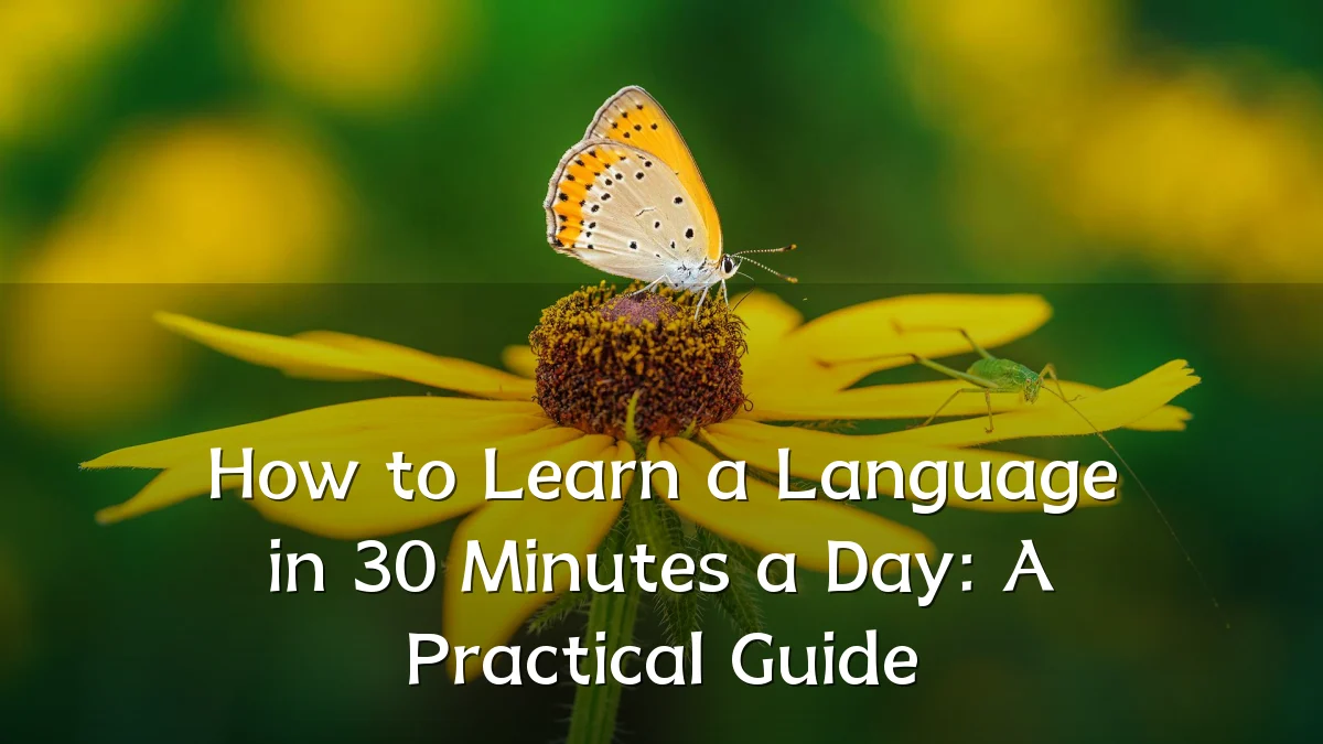 How to Learn a Language in 30 Minutes a Day: A Practical Guide