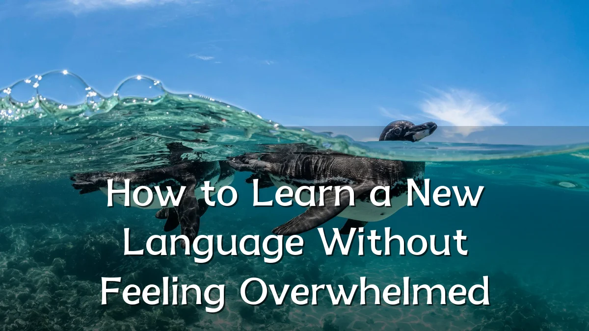 How to Learn a New Language Without Feeling Overwhelmed