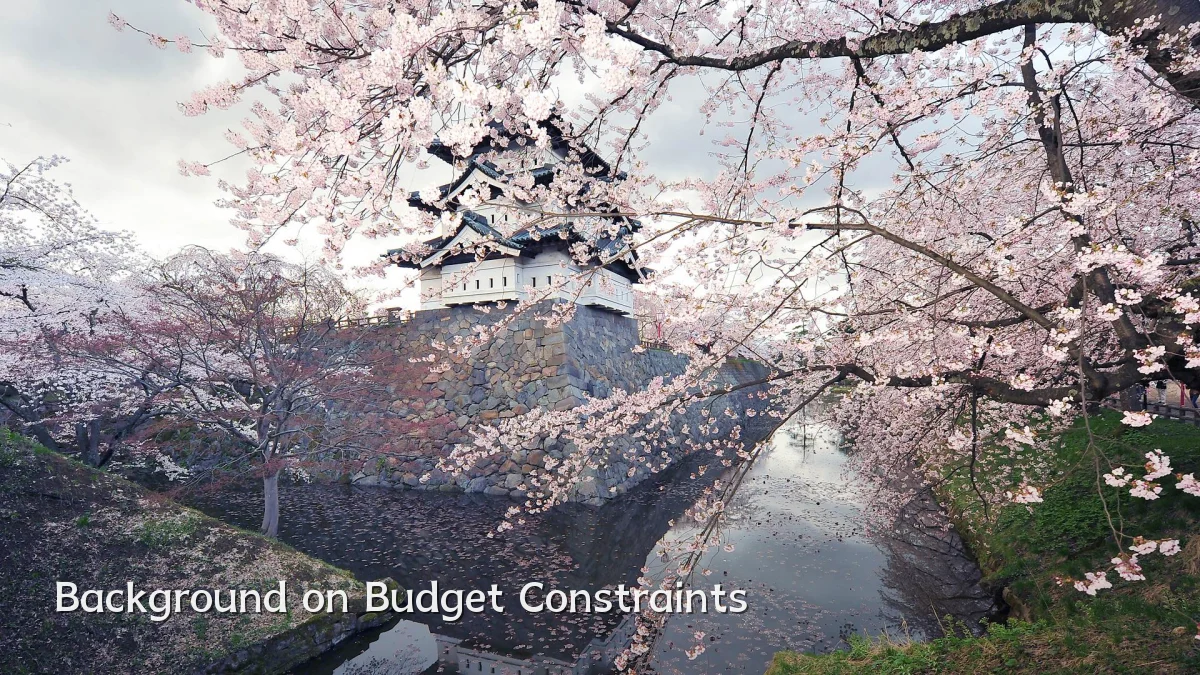 Background on Budget Constraints