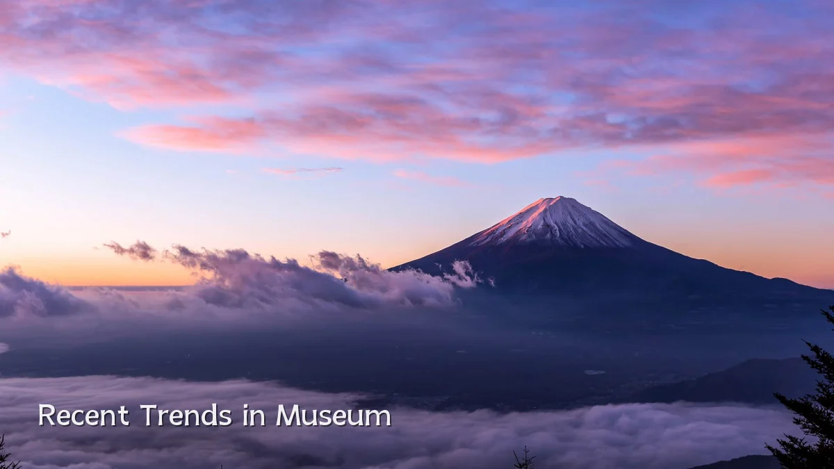 Recent Trends in Museum
