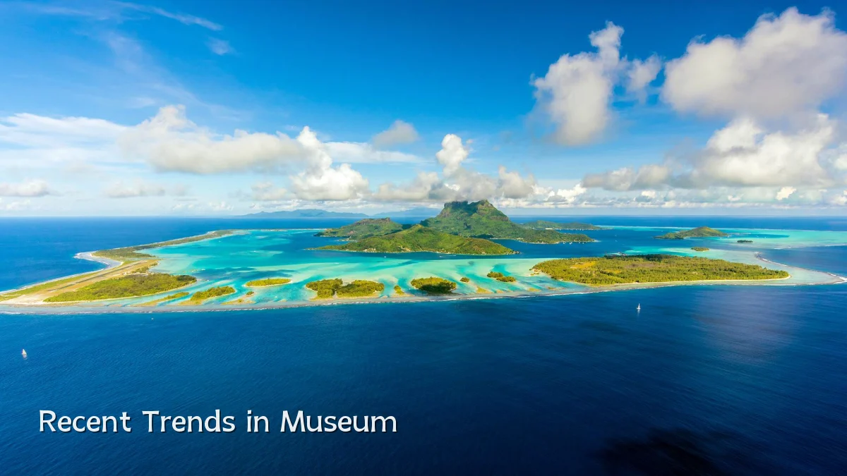 Recent Trends in Museum