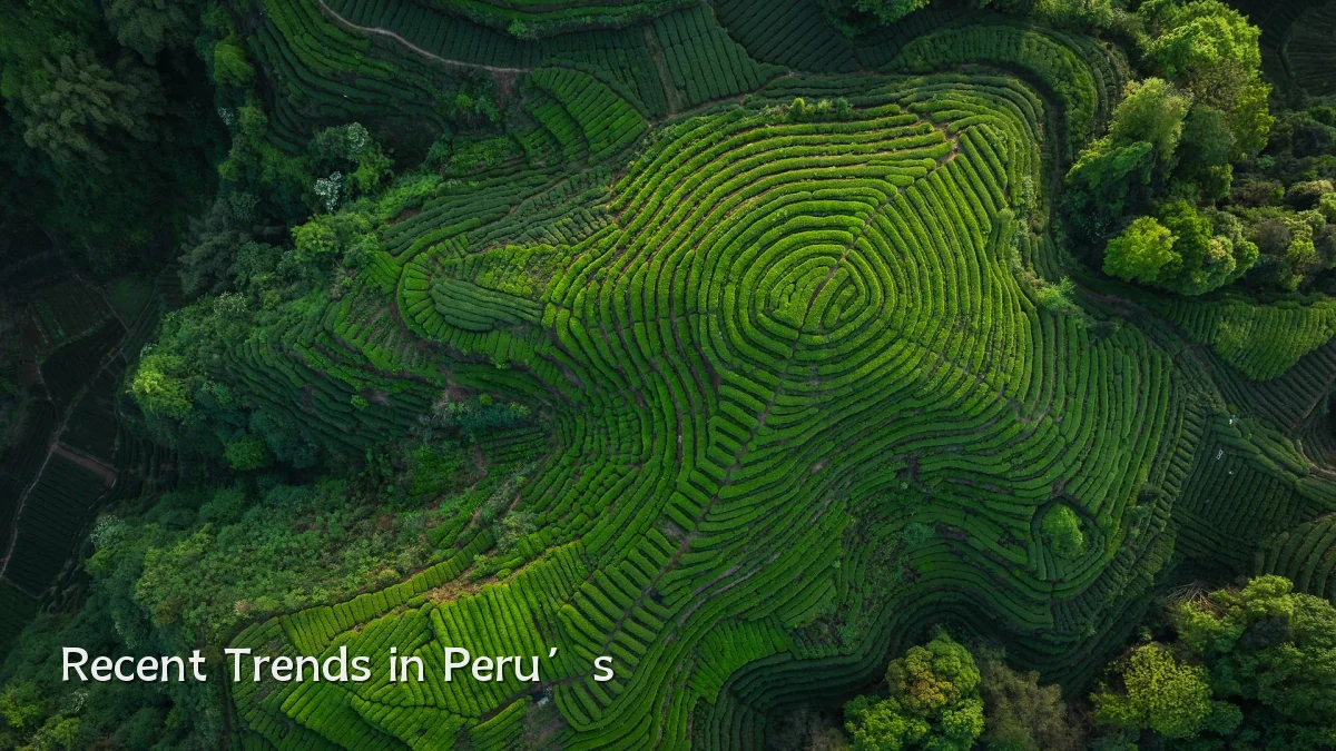 Recent Trends in Peru’s