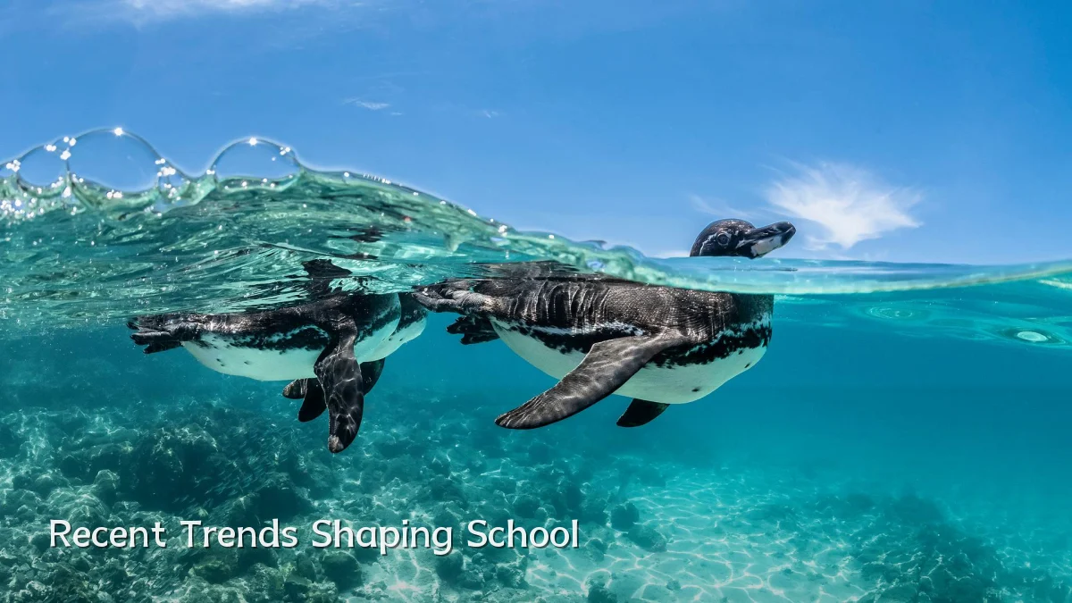 Recent Trends Shaping School
