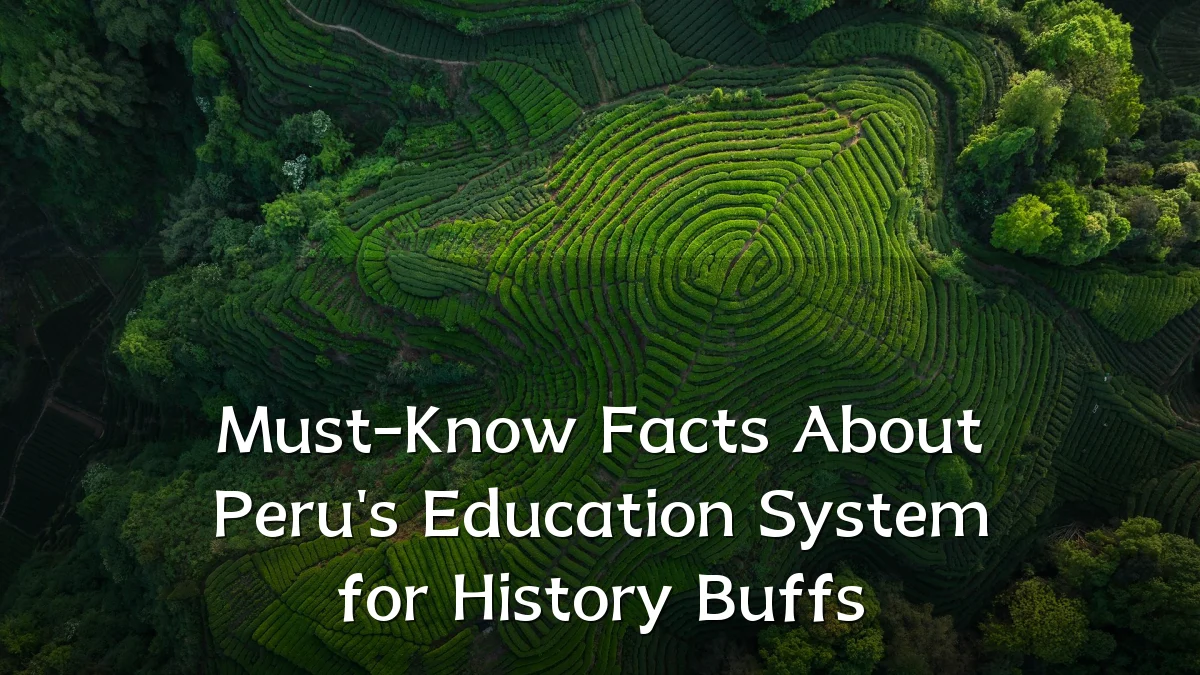 Must-Know Facts About Peru's Education System for History Buffs
