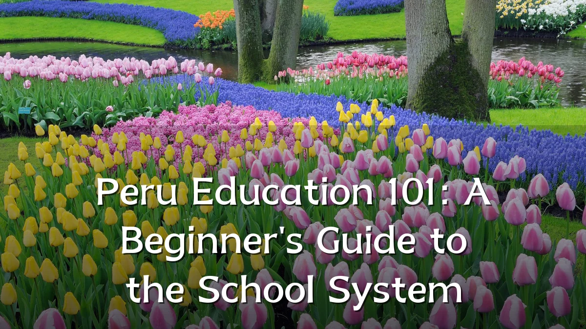 Peru Education 101: A Beginner's Guide to the School System