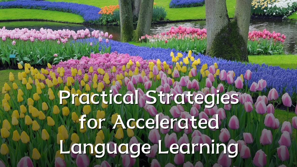 Practical Strategies for Accelerated Language Learning
