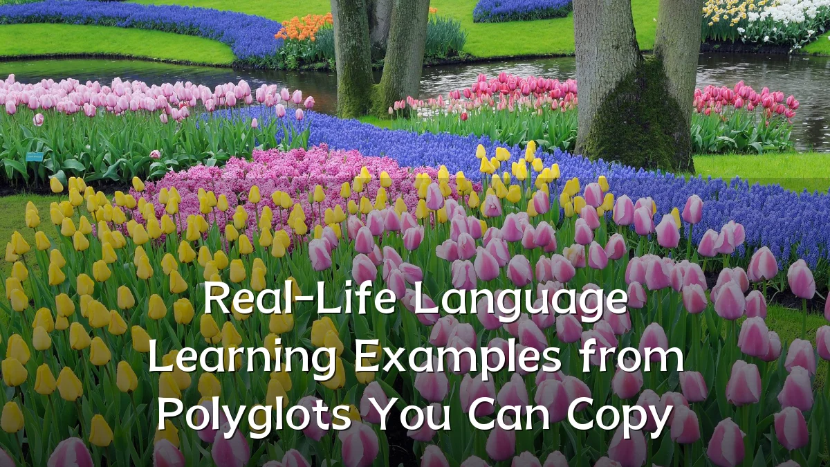 Real-Life Language Learning Examples from Polyglots You Can Copy