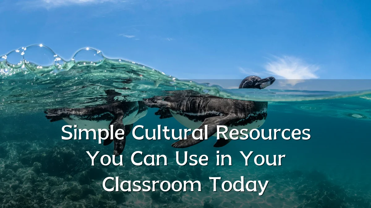 Simple Cultural Resources You Can Use in Your Classroom Today