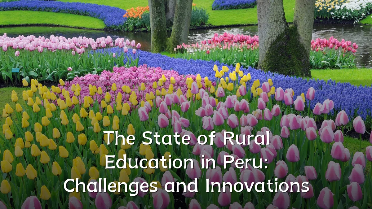 The State of Rural Education in Peru: Challenges and Innovations