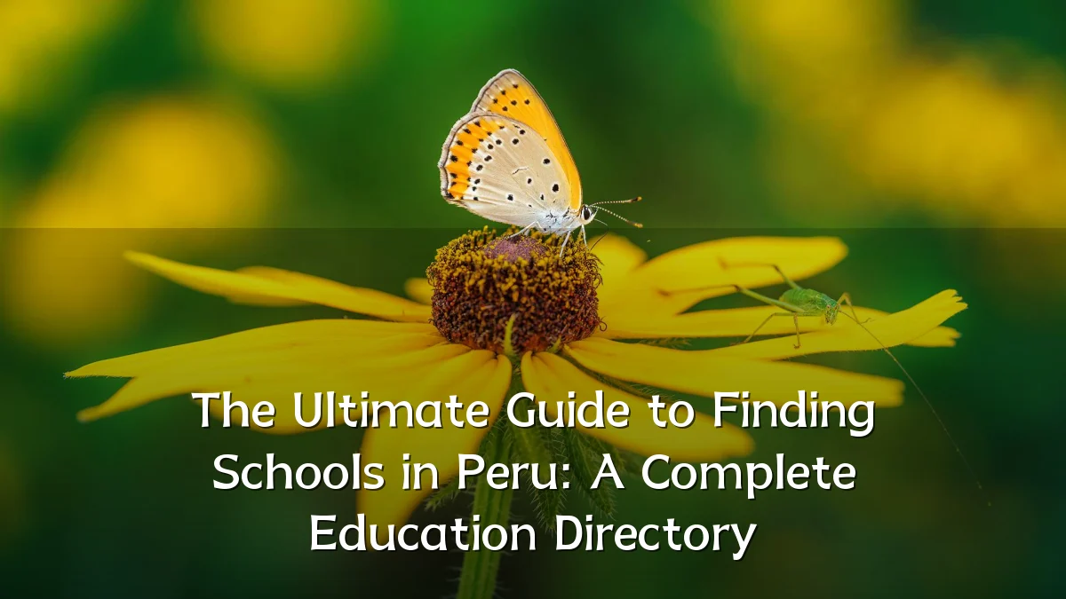 The Ultimate Guide to Finding Schools in Peru: A Complete Education Directory