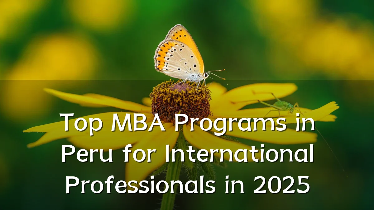 Top MBA Programs in Peru for International Professionals in 2025