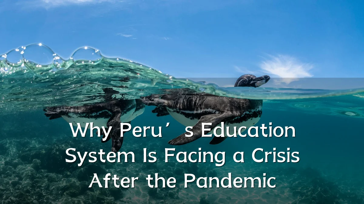 Why Peru’s Education System Is Facing a Crisis After the Pandemic