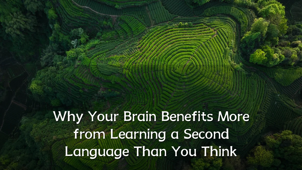 Why Your Brain Benefits More from Learning a Second Language Than You Think
