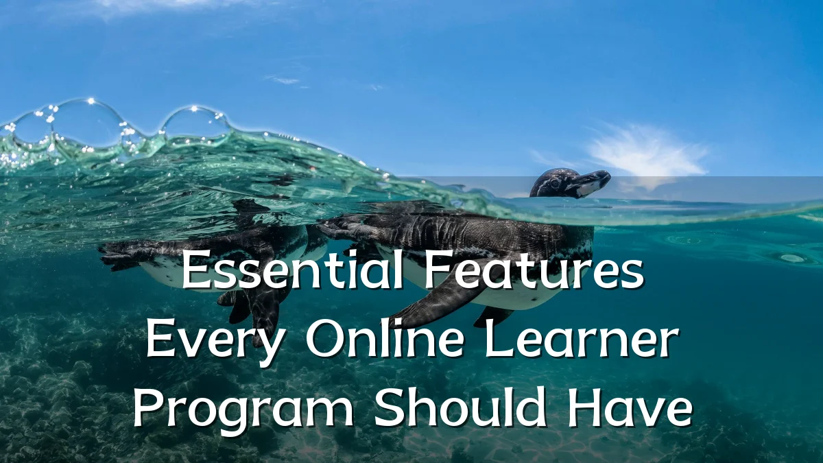 Essential Features Every Online Learner Program Should Have