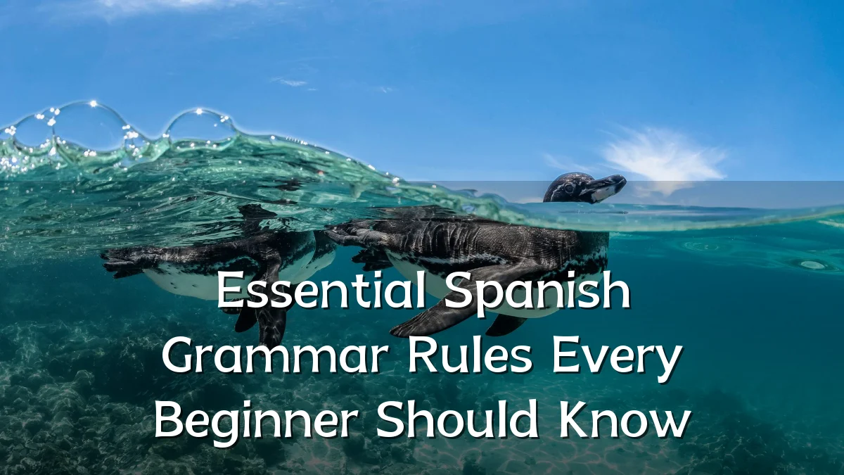 Essential Spanish Grammar Rules Every Beginner Should Know