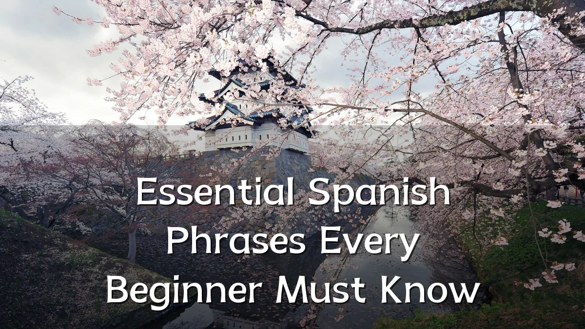 Essential Spanish Phrases Every Beginner Must Know