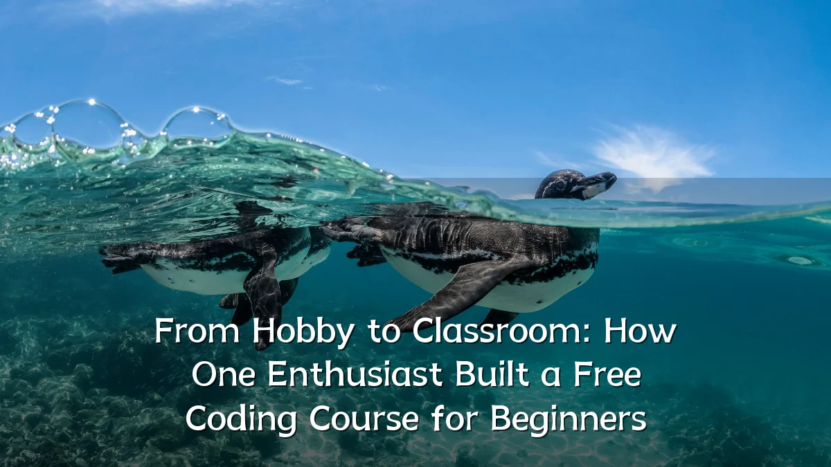 From Hobby to Classroom: How One Enthusiast Built a Free Coding Course for Beginners