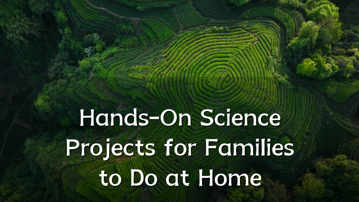 Hands-On Science Projects for Families to Do at Home