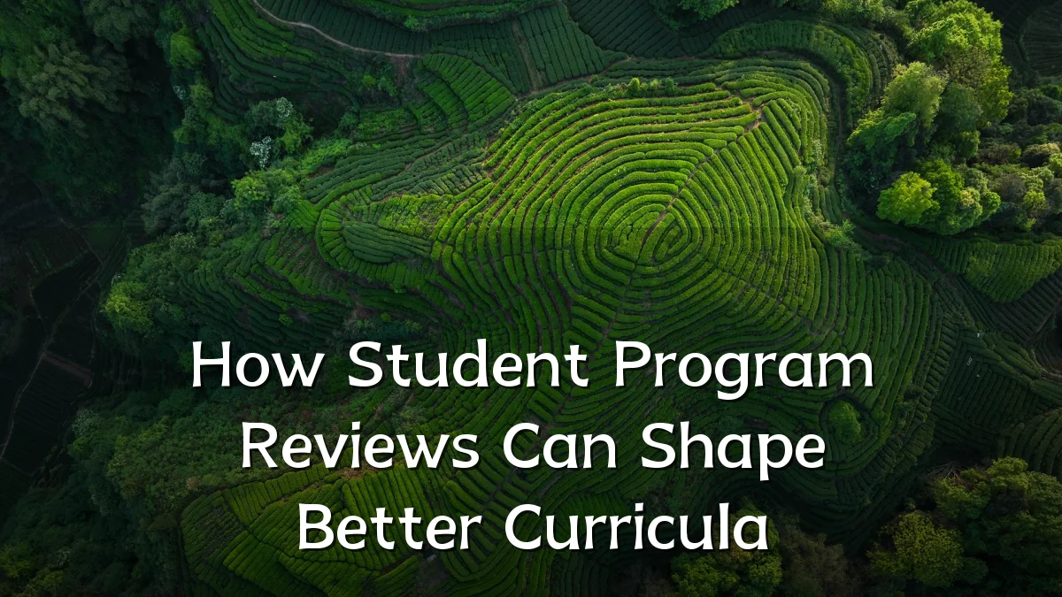 How Student Program Reviews Can Shape Better Curricula