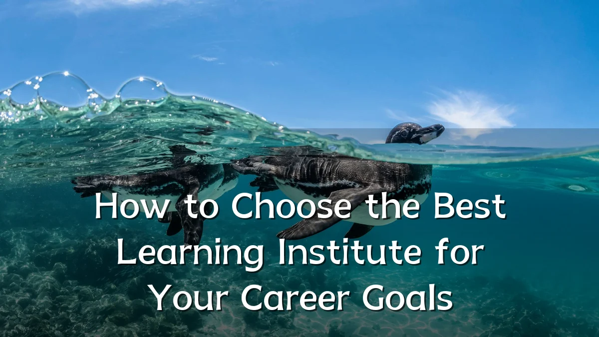 How to Choose the Best Learning Institute for Your Career Goals