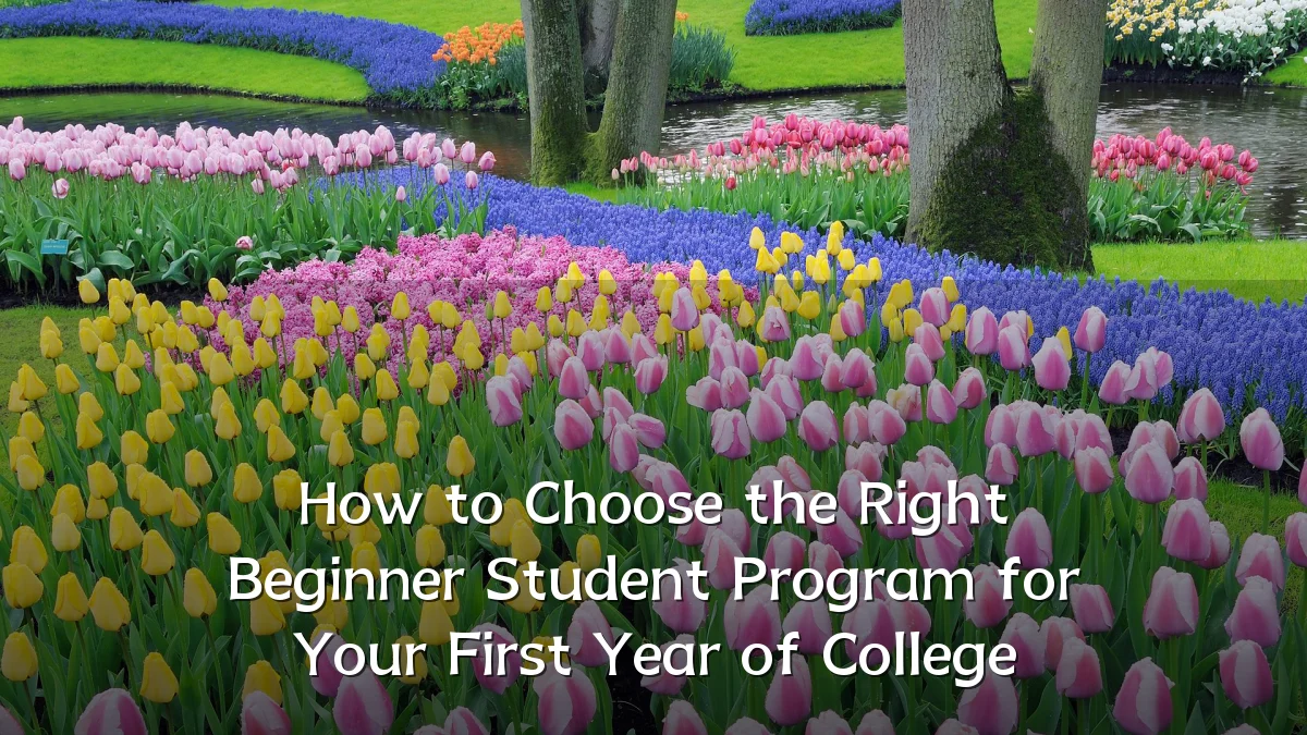 How to Choose the Right Beginner Student Program for Your First Year of College