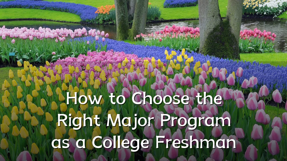 How to Choose the Right Major Program as a College Freshman