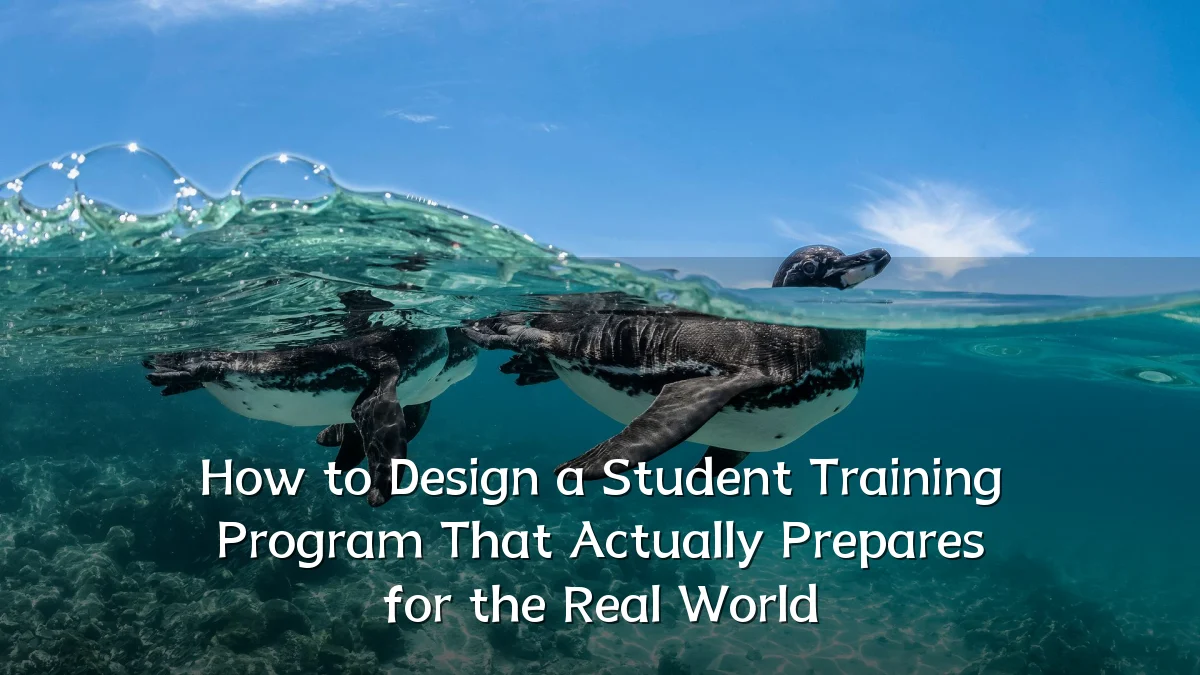 How to Design a Student Training Program That Actually Prepares for the Real World