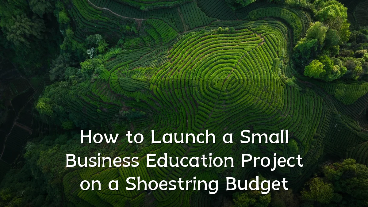 How to Launch a Small Business Education Project on a Shoestring Budget