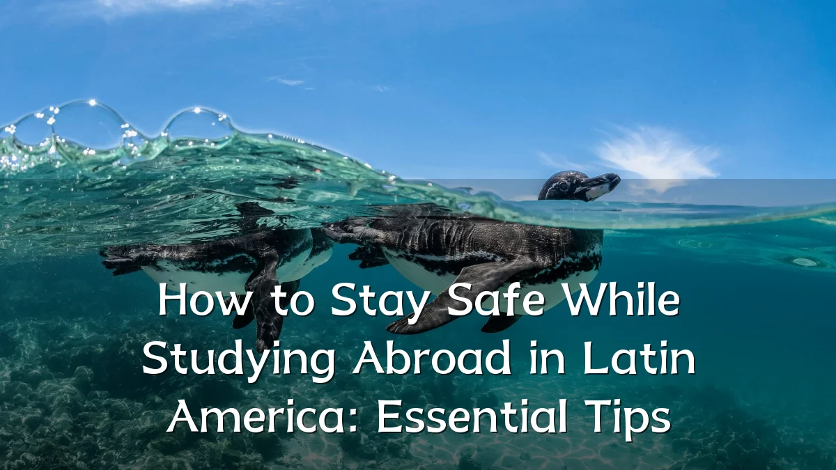 How to Stay Safe While Studying Abroad in Latin America: Essential Tips