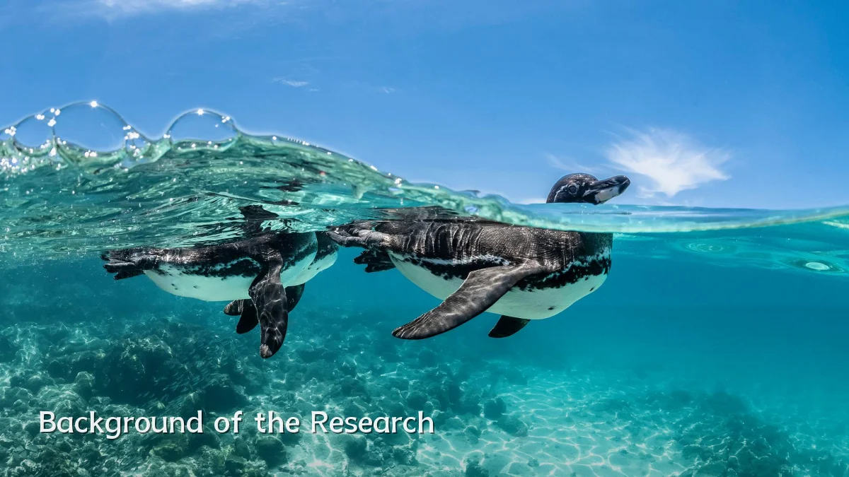 Background of the Research