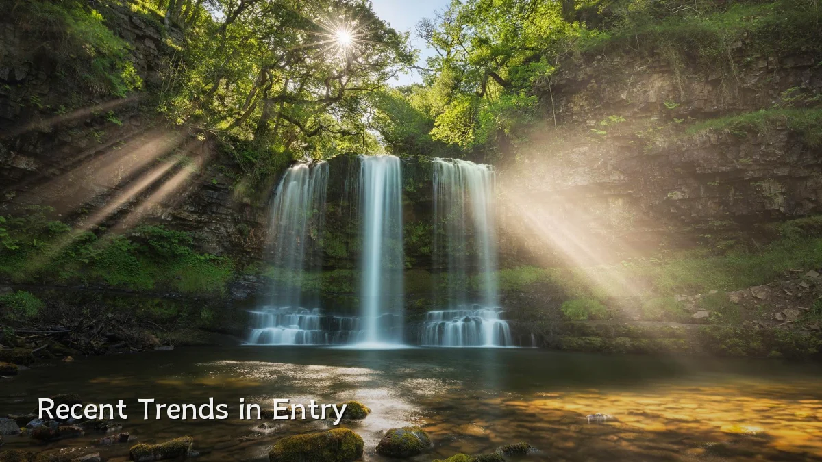 Recent Trends in Entry