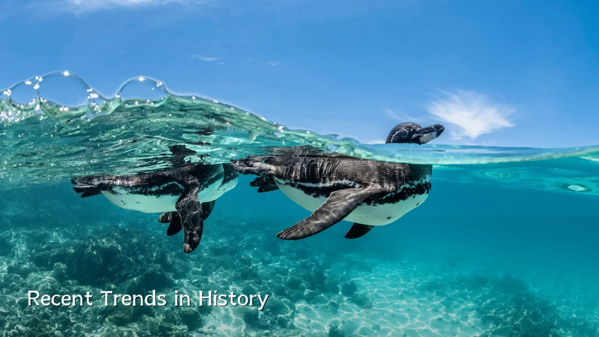 Recent Trends in History