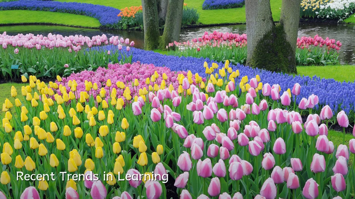 Recent Trends in Learning