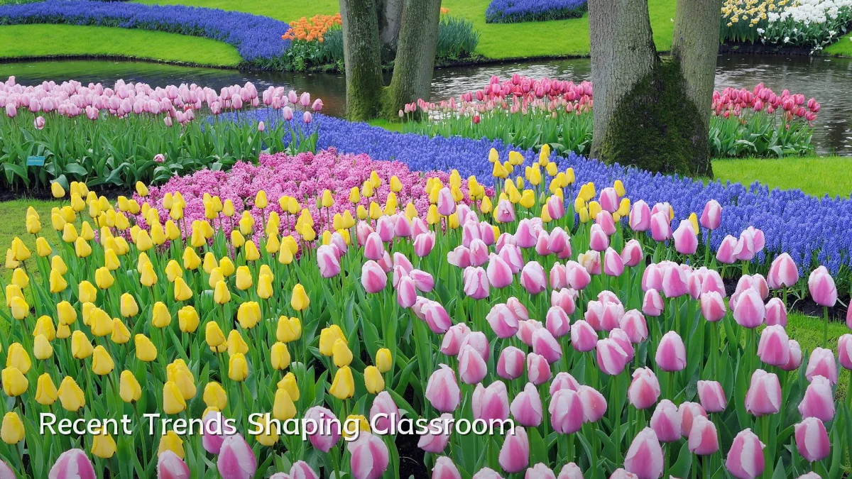 Recent Trends Shaping Classroom