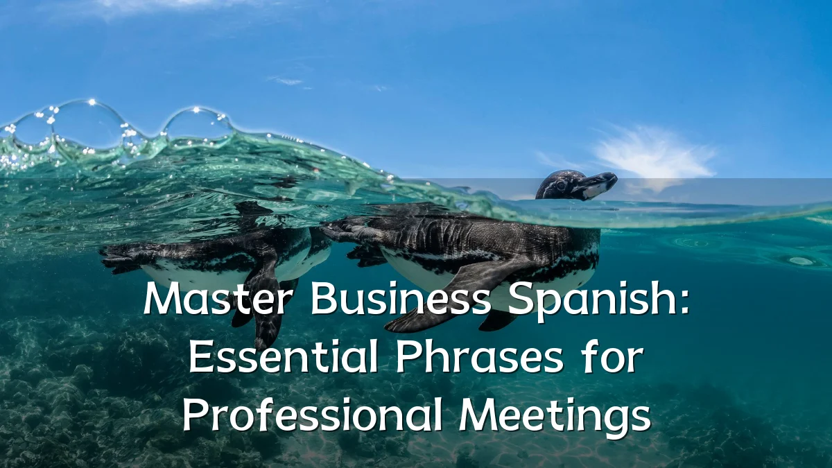 Master Business Spanish: Essential Phrases for Professional Meetings