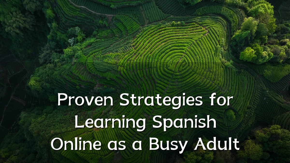 Proven Strategies for Learning Spanish Online as a Busy Adult