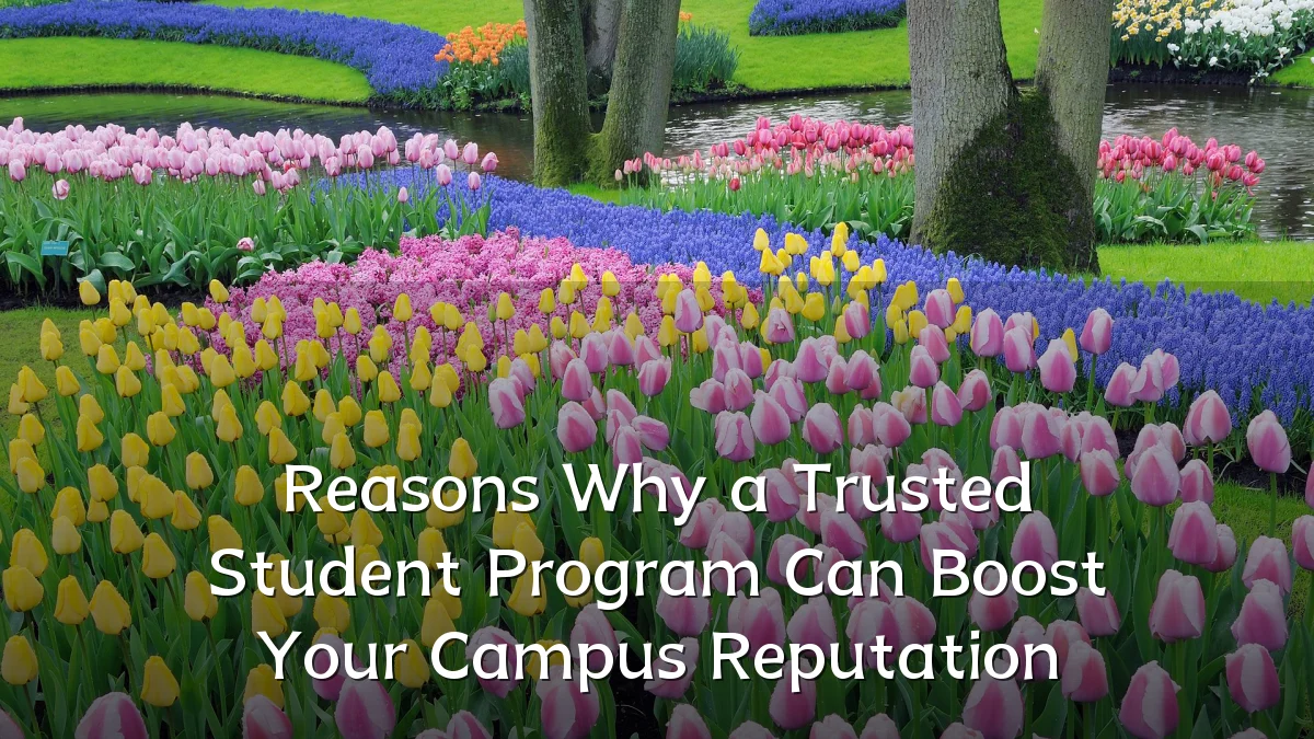 Reasons Why a Trusted Student Program Can Boost Your Campus Reputation