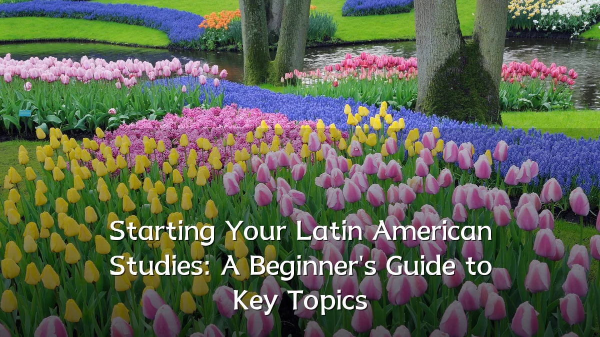 Starting Your Latin American Studies: A Beginner's Guide to Key Topics