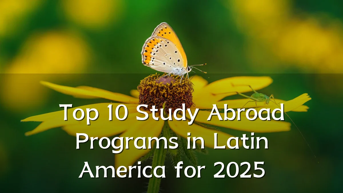 Top 10 Study Abroad Programs in Latin America for 2025