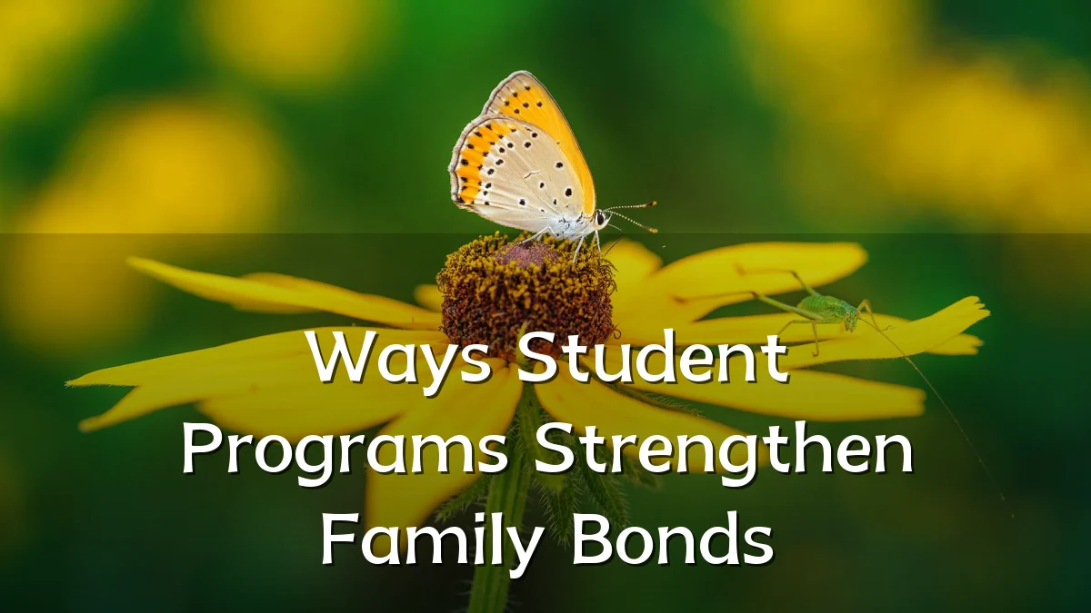 Ways Student Programs Strengthen Family Bonds