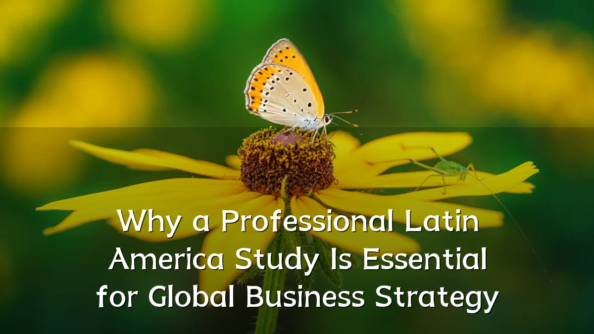 Why a Professional Latin America Study Is Essential for Global Business Strategy