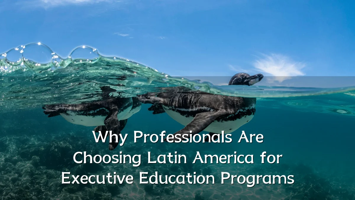 Why Professionals Are Choosing Latin America for Executive Education Programs