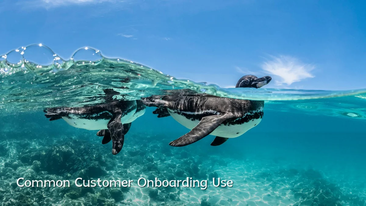 Common Customer Onboarding Use
