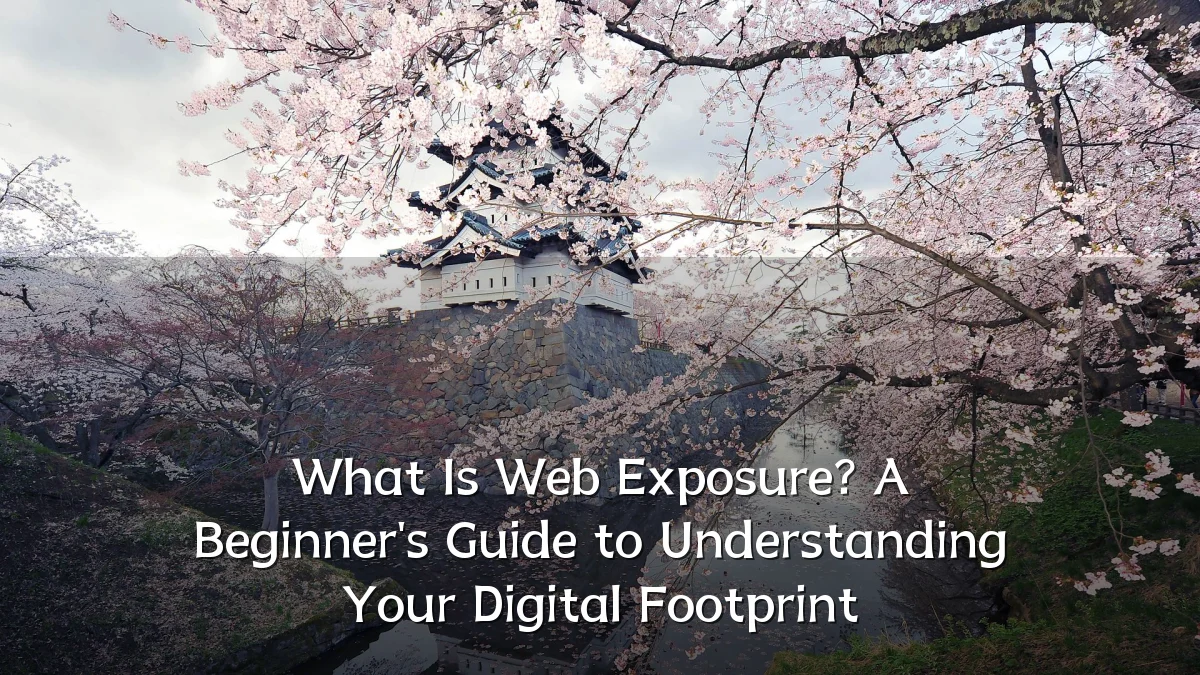 What Is Web Exposure? A Beginner's Guide to Understanding Your Digital Footprint